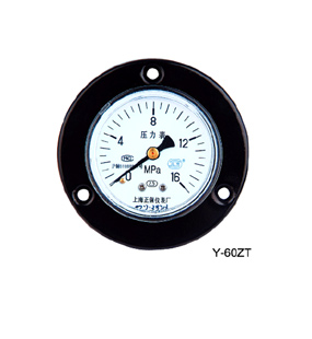 Y60-ZT 系列普通轴向带边压力表