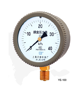 YE-100 系列普通膜盒压力表