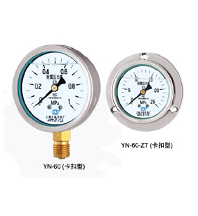 YN-60 YN-60ZT 系列轴向耐震压力表